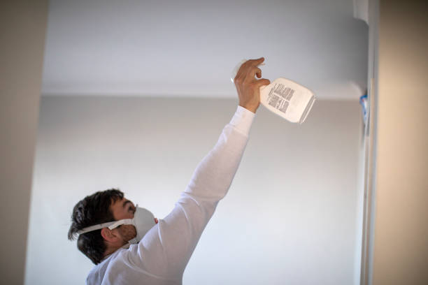 Best Same-Day Mold Removal  in Forest Lake, IL
