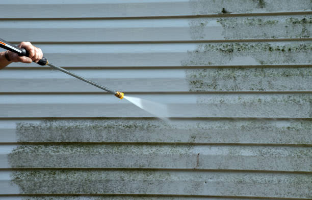 Home Mold Removal in Forest Lake, IL