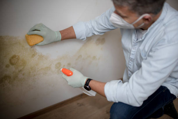 Water Damage Restoration in Forest Lake, IL
