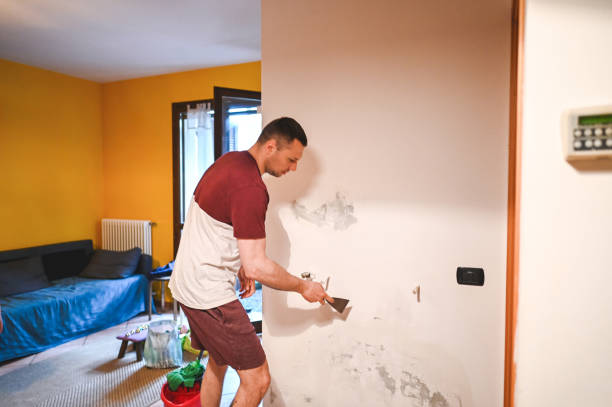 Best Mold Cleaning Services  in Forest Lake, IL